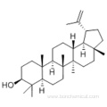 Lup-20(29)-en-3-ol,( 57365412, 57187215,3b)- CAS 545-47-1